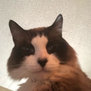 Meet your Posher, Eddy